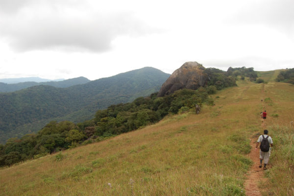 Trekking in the hills